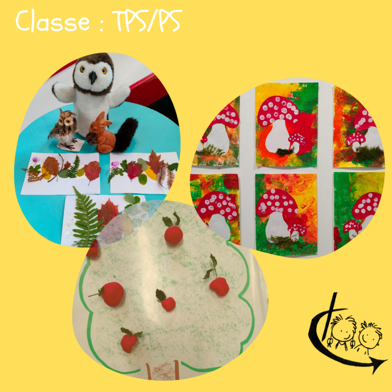 Productions d'élèves